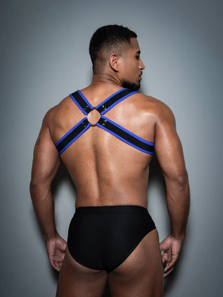 Rebel harness back blue.webp