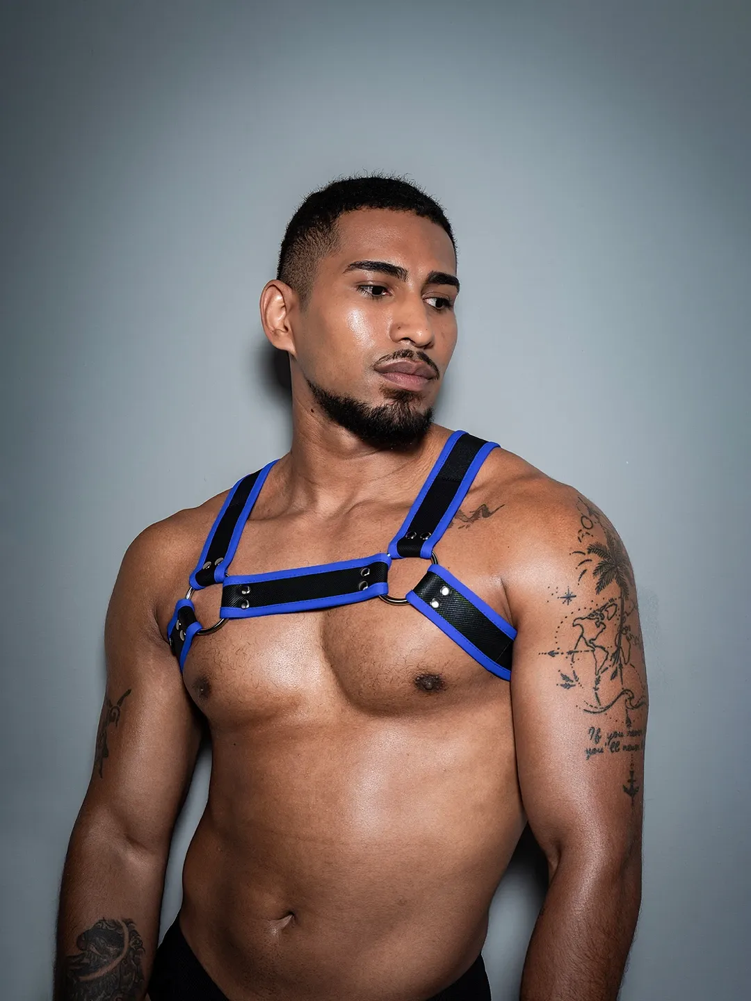 REBEL HARNESS